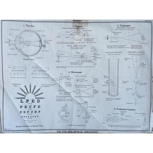 356F - A complete collection of large vintage lithograph charts by A. J. Nystrom & Co. Chicago. Consists of... 