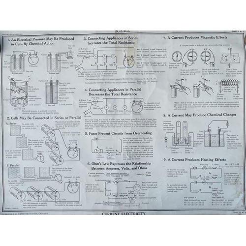 356F - A complete collection of large vintage lithograph charts by A. J. Nystrom & Co. Chicago. Consists of... 