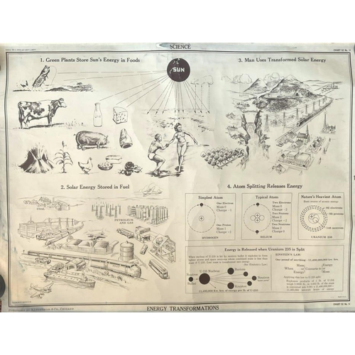 356F - A complete collection of large vintage lithograph charts by A. J. Nystrom & Co. Chicago. Consists of... 