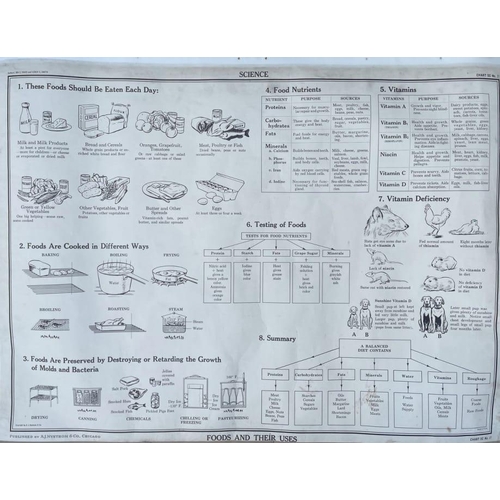 356F - A complete collection of large vintage lithograph charts by A. J. Nystrom & Co. Chicago. Consists of... 