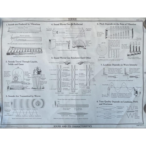 356F - A complete collection of large vintage lithograph charts by A. J. Nystrom & Co. Chicago. Consists of... 