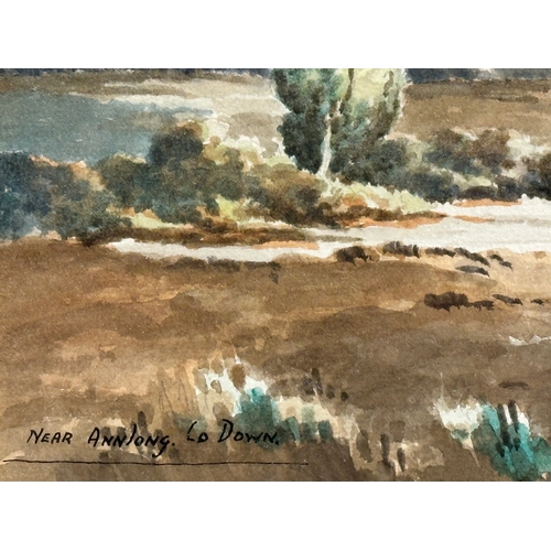 80 - A watercolour by George Farrell. Near Annalong, County Down. 37x24cm. Frame 55.5x42.5cm