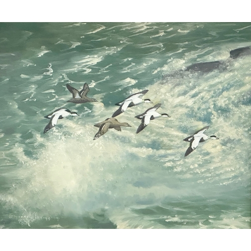 103 - An oil painting on canvas by Michael Benington. Eiders at Sea. In an ornate shadowbox frame. 30x25.5... 