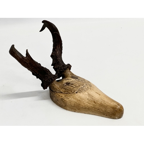 193 - 2 19th century wooden deer skulls. 23cm