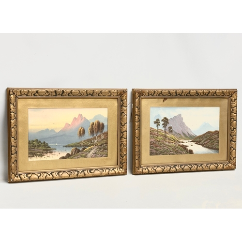 796 - 2 early 20th century oil painting in gilt frames. 40x25cm. Frames 59x44cm