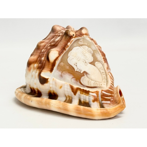 417 - 2 19th Century Cameo Conch Shells. 14cm