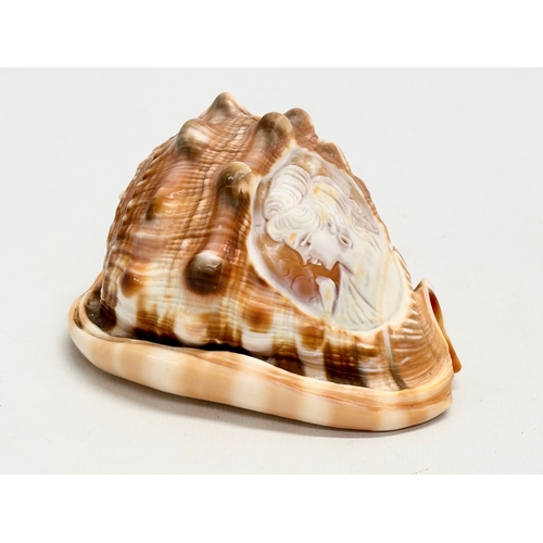 417 - 2 19th Century Cameo Conch Shells. 14cm