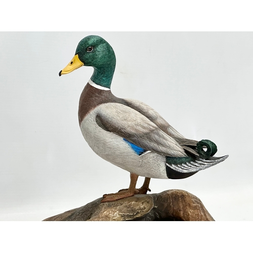 431 - A large Border Fine Arts ‘Mallard’ figure on stand. Water Fowl of the World by Don Briddell. 35x21x2... 