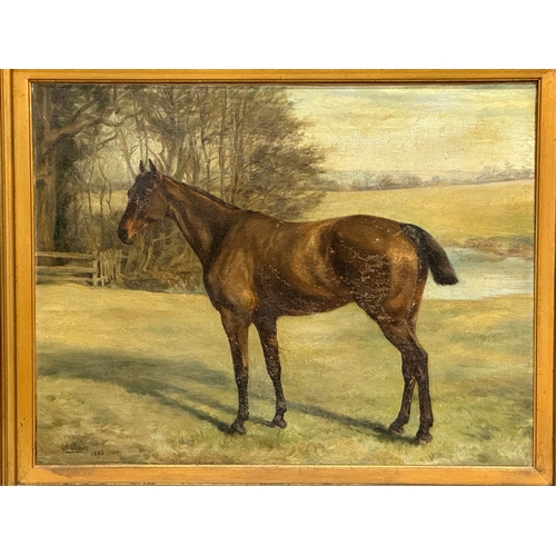 297 - A large Late 19th Century oil painting on canvas by G. P. O'Shee. 1895. 66x51cm. Frame 91x76cm