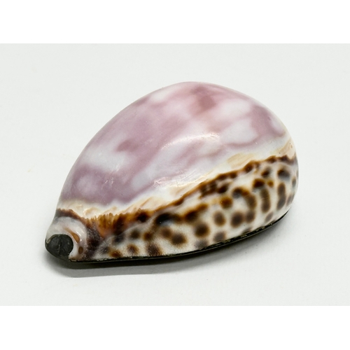 48 - A Late 18th/Early 19th Century cowrie shell snuff box. 8x5x3.5cm