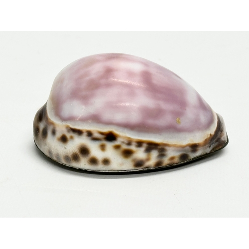 48 - A Late 18th/Early 19th Century cowrie shell snuff box. 8x5x3.5cm