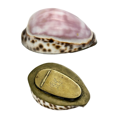 48 - A Late 18th/Early 19th Century cowrie shell snuff box. 8x5x3.5cm