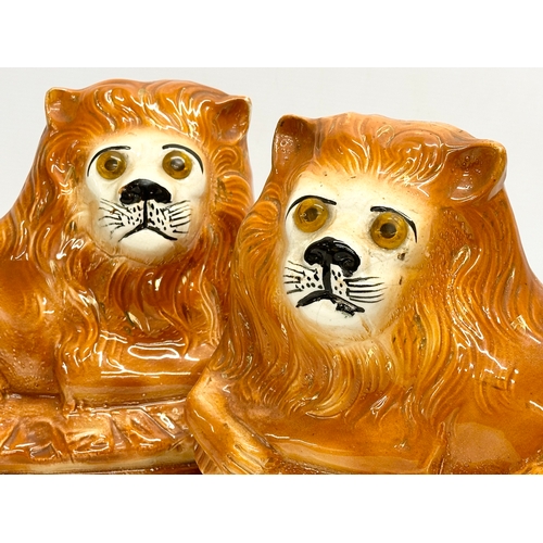 194 - A pair of large Mid 19th Century Staffordshire lions with glass eyes. 29x24cm