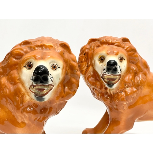 282 - A pair of large 19th Century Victorian Staffordshire Pottery lions with glass eyes. 36x27cm