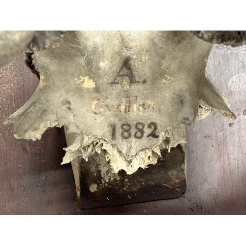 174 - A large 19th Century wall mounted stag skull and antlers. 105x101cm