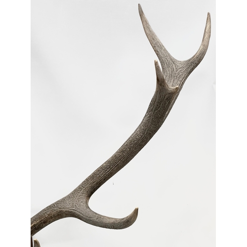 174 - A large 19th Century wall mounted stag skull and antlers. 105x101cm