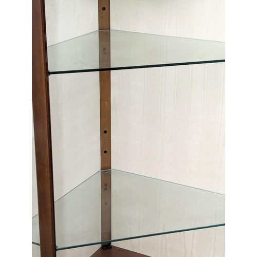 981 - A Georgian style mahogany corner display cabinet.74x50x187cm