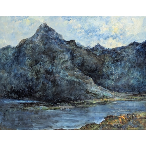 755 - A large 1963 oil painting, The Cuillins, Skye. Signature on back. 49.5x39.5cm. Frame 69x59.5cm