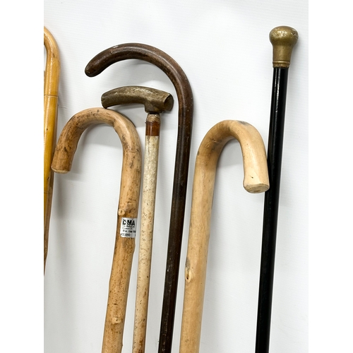 779 - A quantity of walking sticks.