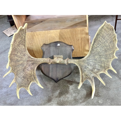 22 - Large wall mounted plastic antlers. 101x82cm