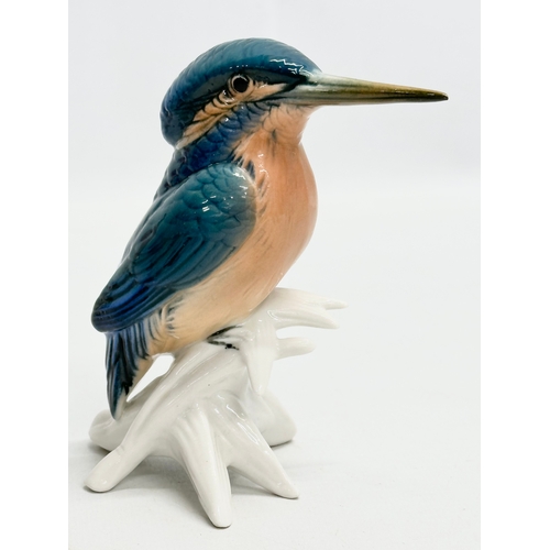 405 - A good collection of Karl Ens porcelain birds. 17cm, 14cm, 13cm, 12cm, 9cm, 7cm.