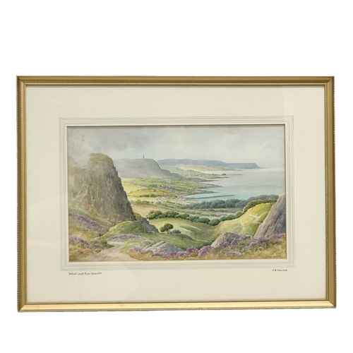 294A - George William Morrison (G.W. Morrison) watercolour drawing. Belfast Lough from Cave Hill. 45.5cm x ... 