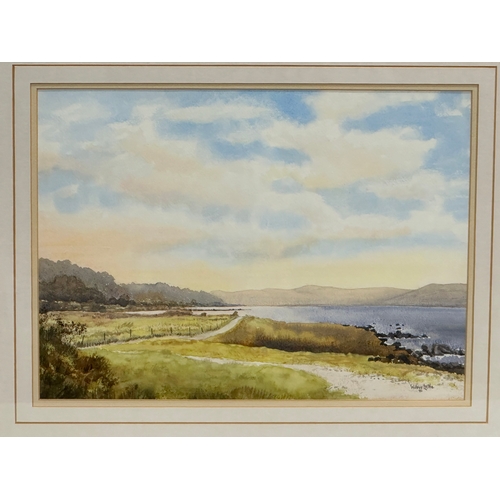 350F - Wilbur Little. A watercolour drawing. 37x26cm. Frame 55x46cm