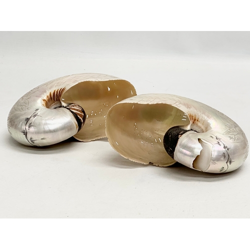 47 - A pair of 19th Century Nautilus Shells. Nouvelle Caledonie. 14x11cm.