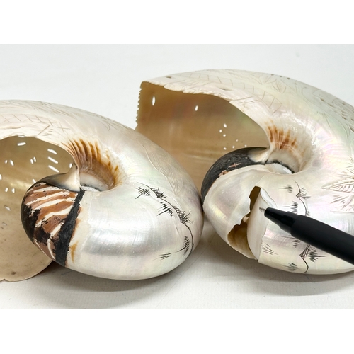 47 - A pair of 19th Century Nautilus Shells. Nouvelle Caledonie. 14x11cm.