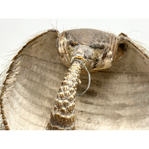 90 - A 19th Century taxidermy armadillo basket. 21x21x16cm.