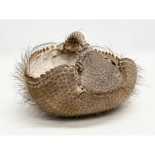 90 - A 19th Century taxidermy armadillo basket. 21x21x16cm.