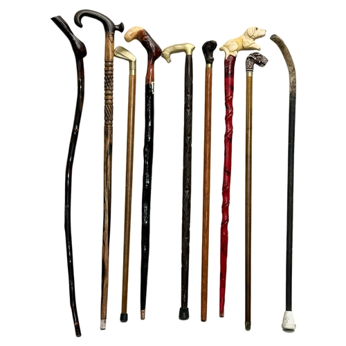 435 - A quantity of walking sticks.