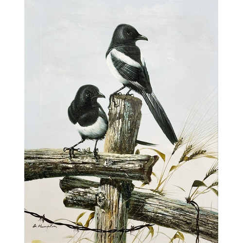 135B - A. Hampton. An oil on canvas. Magpies of a fence. In gilt frame. 41x51cm. Frame 54x64cm