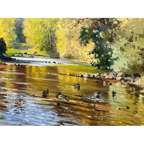 135E - David Long. An oil on canvas. Ducks in the river. In gilt frame. 61x51cm. Frame 79x69cm.