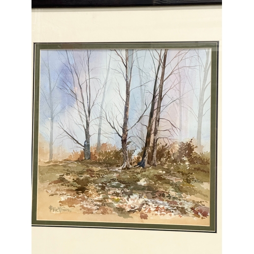 295B - Peter McCann. A watercolour drawing. Belvoir Forest, Belfast. 1994. 31x30cm. Frame 51.5x53cm.