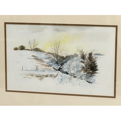 295E - Peter McCann. A watercolour drawing. Balmoral Bog Meadows, Belfast. 40x25cm. Frame 58x42cm.