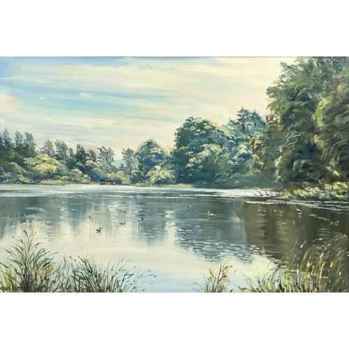 295H - Allan Ardies. A large oil on canvas. 66x46cm. Frame 80x60cm.