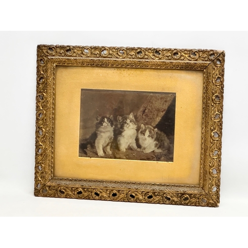 264 - A Late 19th Century Victorian carved wooden gilt framed print of kittens. 48.5x39.5cm