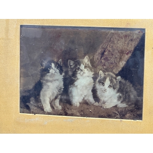 264 - A Late 19th Century Victorian carved wooden gilt framed print of kittens. 48.5x39.5cm