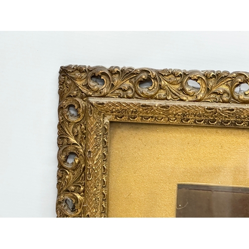 264 - A Late 19th Century Victorian carved wooden gilt framed print of kittens. 48.5x39.5cm