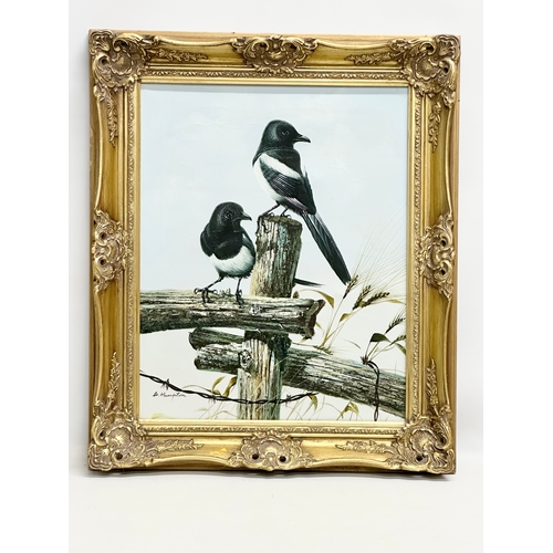 288 - A. Hampton. An oil on canvas. Magpies of a fence. In gilt frame. 41x51cm. Frame 54x64cm