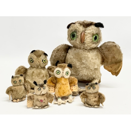 703 - A collection of 1950’s Steiff owls.