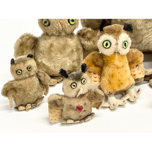 703 - A collection of 1950’s Steiff owls.