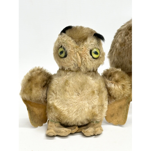 703 - A collection of 1950’s Steiff owls.