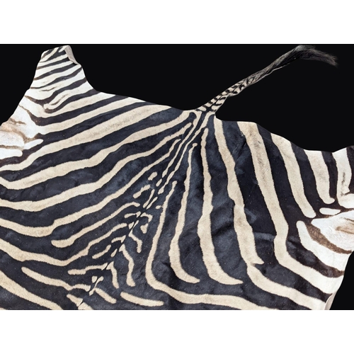 3 - A large Late 19th / Early 20th Century full zebra skin. Taxidermy rug / wall rug. 310cm