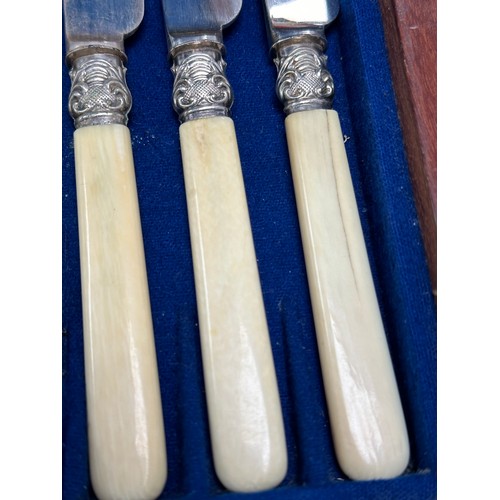 430 - An Early 20th Century silver plated cutlery set in case. 29x24.5x5cm.