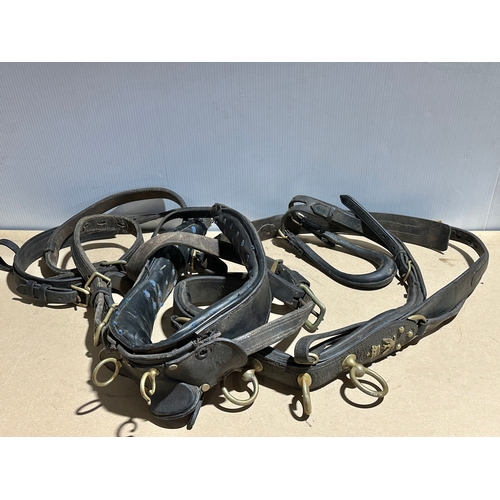 Lot 20        