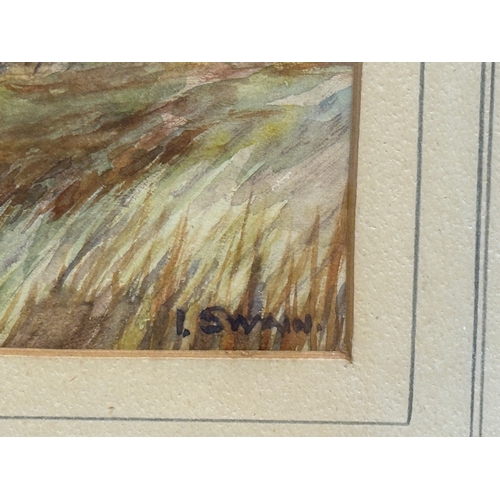 775 - Isaac Swain. A watercolour drawing. 37x24cm. Frame 58x43.5cm.