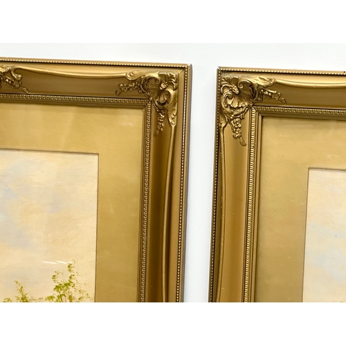 436 - A pair of Early 20th Century oil paintings in gilt frame. Frames 44x64cm.