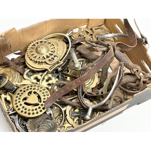 978 - A collection of 19th Century horse brasses.